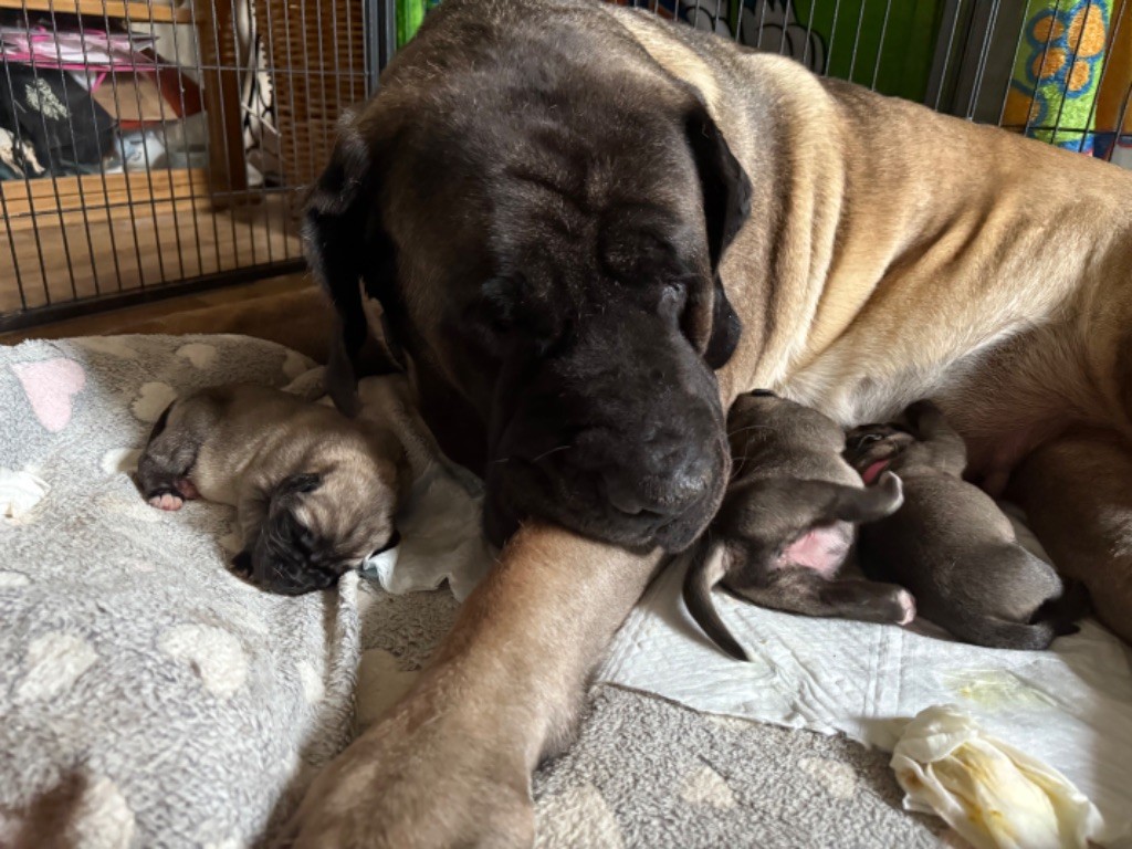 Naissance 30 mai 2025